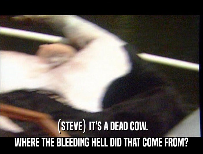 (STEVE) IT'S A DEAD COW. WHERE THE BLEEDING HELL DID THAT COME FROM? 