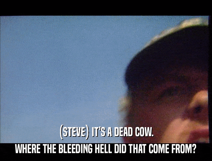 (STEVE) IT'S A DEAD COW. WHERE THE BLEEDING HELL DID THAT COME FROM? 