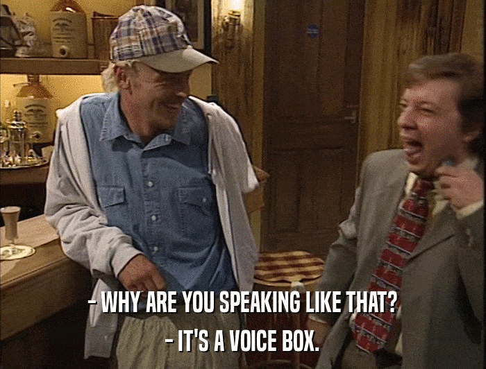 - WHY ARE YOU SPEAKING LIKE THAT? - IT'S A VOICE BOX. 