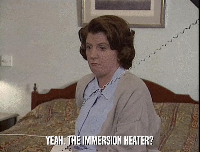 YEAH. THE IMMERSION HEATER?  