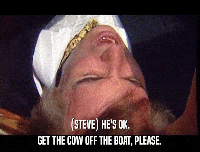 (STEVE) HE'S OK. GET THE COW OFF THE BOAT, PLEASE. 