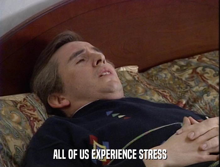ALL OF US EXPERIENCE STRESS  