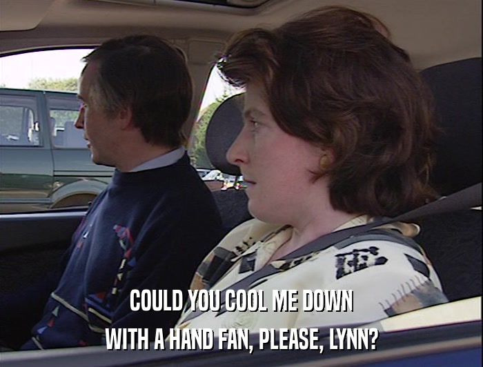 COULD YOU COOL ME DOWN WITH A HAND FAN, PLEASE, LYNN? 