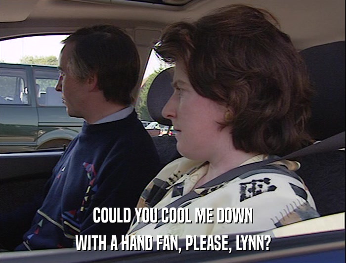 COULD YOU COOL ME DOWN WITH A HAND FAN, PLEASE, LYNN? 