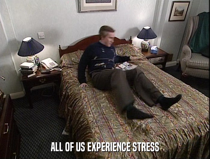 ALL OF US EXPERIENCE STRESS  