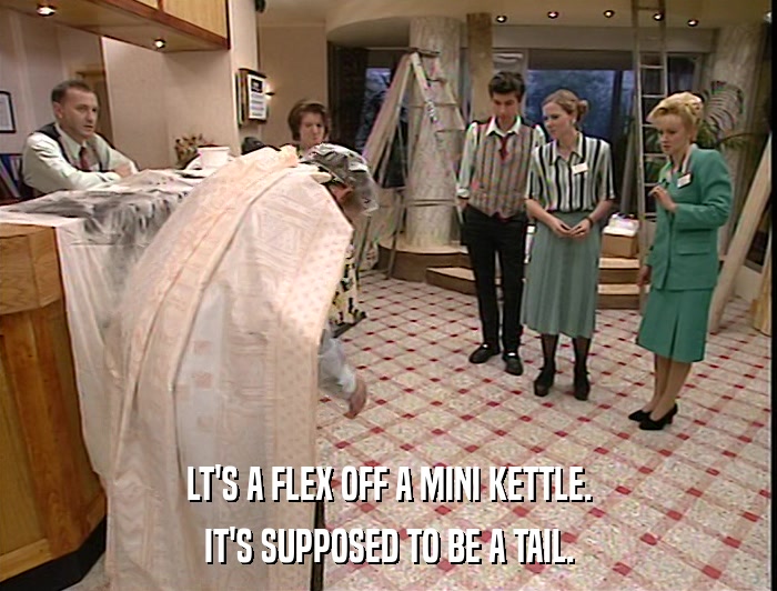 LT'S A FLEX OFF A MINI KETTLE. IT'S SUPPOSED TO BE A TAIL. 