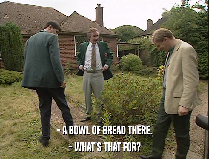 - A BOWL OF BREAD THERE. - WHAT'S THAT FOR? 