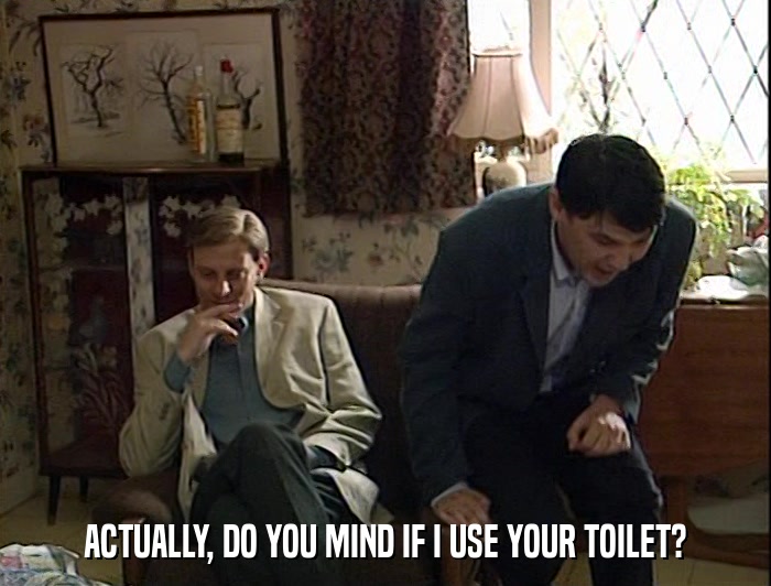 ACTUALLY, DO YOU MIND IF I USE YOUR TOILET?  