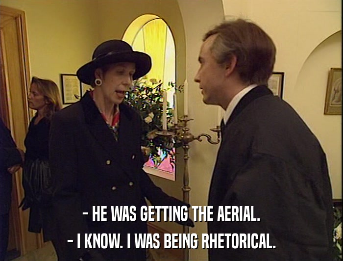 - HE WAS GETTING THE AERIAL.
 - I KNOW. I WAS BEING RHETORICAL. 
