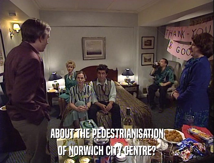 ABOUT THE PEDESTRIANISATION
 OF NORWICH CITY CENTRE? 