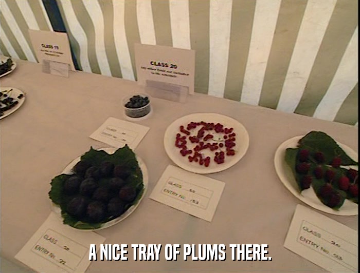 A NICE TRAY OF PLUMS THERE.  