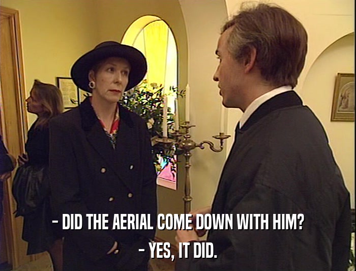 - DID THE AERIAL COME DOWN WITH HIM?
 - YES, IT DID. 