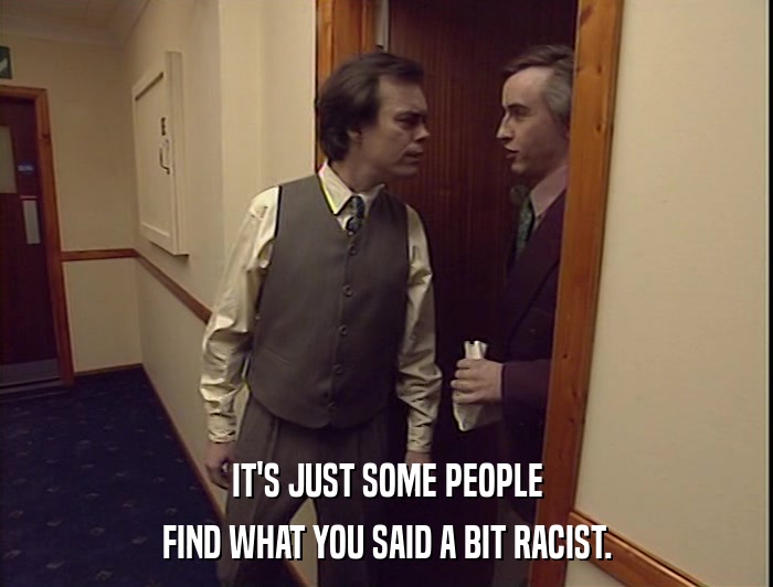 IT'S JUST SOME PEOPLE
 FIND WHAT YOU SAID A BIT RACIST. 