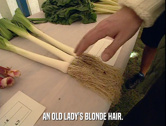 AN OLD LADY'S BLONDE HAIR.  