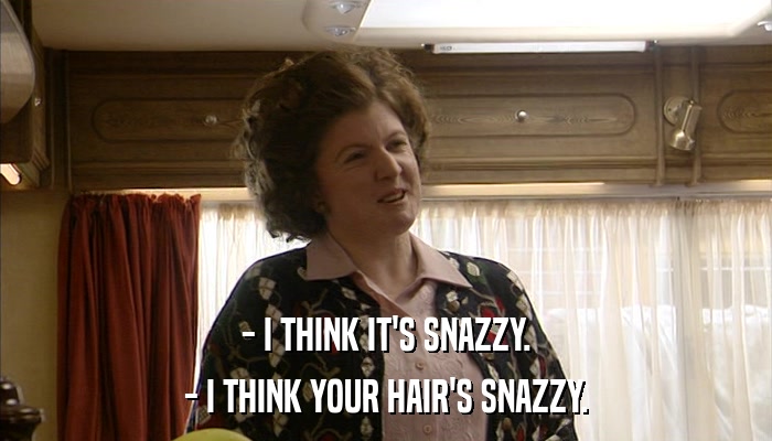- I THINK IT'S SNAZZY. - I THINK YOUR HAIR'S SNAZZY. 