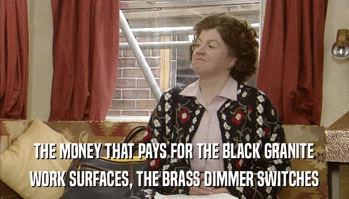 THE MONEY THAT PAYS FOR THE BLACK GRANITE WORK SURFACES, THE BRASS DIMMER SWITCHES 