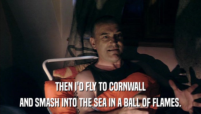 THEN I'D FLY TO CORNWALL AND SMASH INTO THE SEA IN A BALL OF FLAMES. 