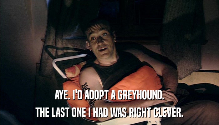 AYE. I'D ADOPT A GREYHOUND. THE LAST ONE I HAD WAS RIGHT CLEVER. 