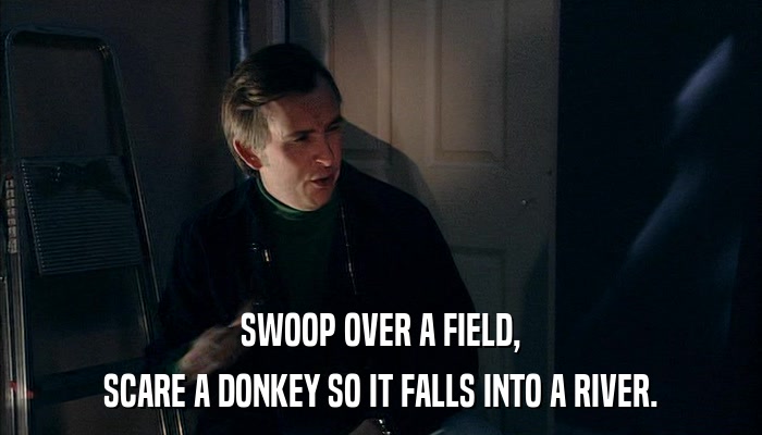 SWOOP OVER A FIELD, SCARE A DONKEY SO IT FALLS INTO A RIVER. 