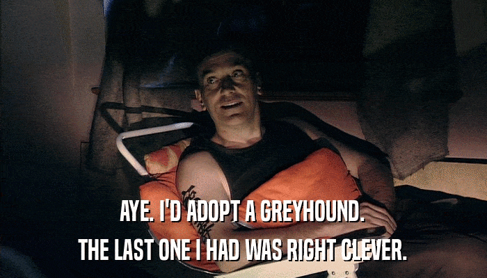 AYE. I'D ADOPT A GREYHOUND. THE LAST ONE I HAD WAS RIGHT CLEVER. 