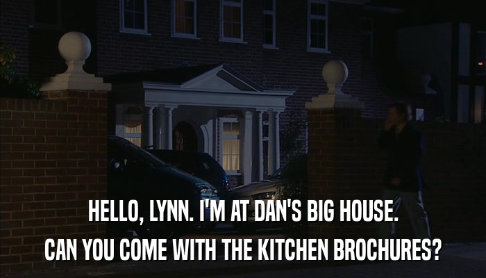 HELLO, LYNN. I'M AT DAN'S BIG HOUSE. CAN YOU COME WITH THE KITCHEN BROCHURES? 