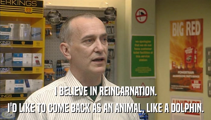 I BELIEVE IN REINCARNATION. I'D LIKE TO COME BACK AS AN ANIMAL, LIKE A DOLPHIN. 