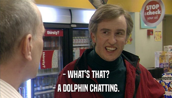 - WHAT'S THAT? - A DOLPHIN CHATTING. 