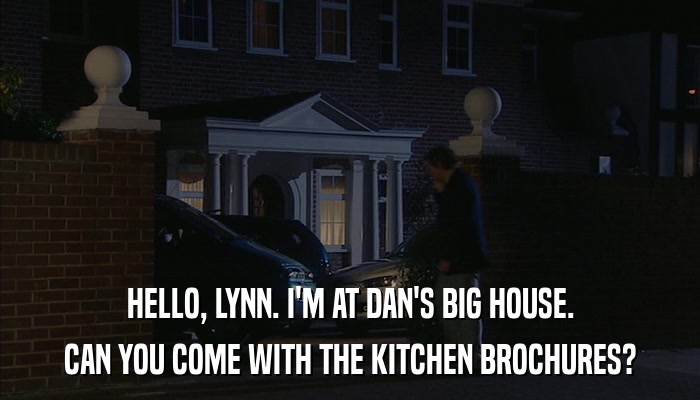 HELLO, LYNN. I'M AT DAN'S BIG HOUSE. CAN YOU COME WITH THE KITCHEN BROCHURES? 