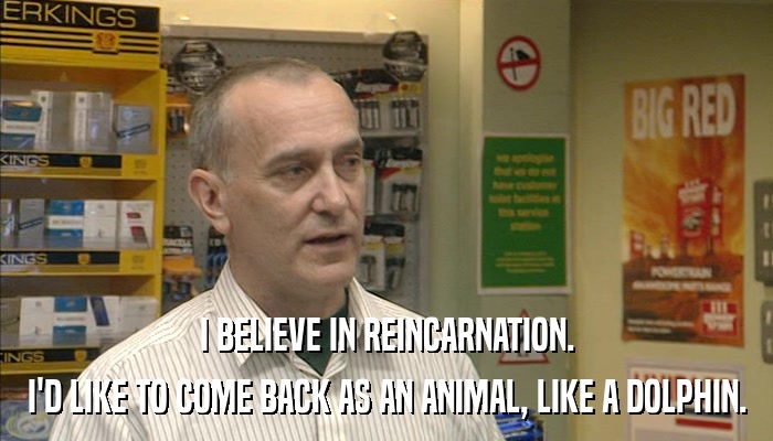 I BELIEVE IN REINCARNATION. I'D LIKE TO COME BACK AS AN ANIMAL, LIKE A DOLPHIN. 