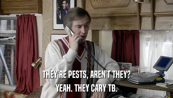 THEY'RE PESTS, AREN'T THEY? YEAH. THEY CARY TB. 