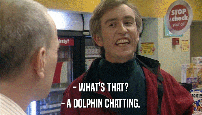 - WHAT'S THAT? - A DOLPHIN CHATTING. 