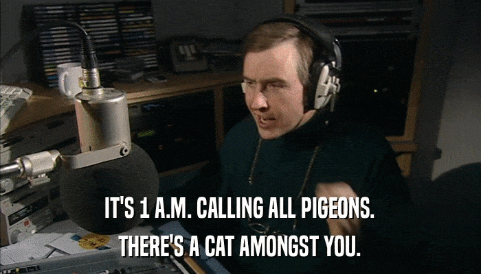 IT'S 1 A.M. CALLING ALL PIGEONS. THERE'S A CAT AMONGST YOU. 