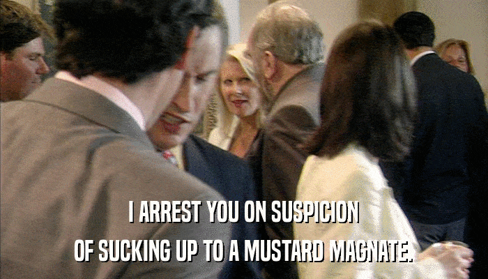 I ARREST YOU ON SUSPICION OF SUCKING UP TO A MUSTARD MAGNATE. 