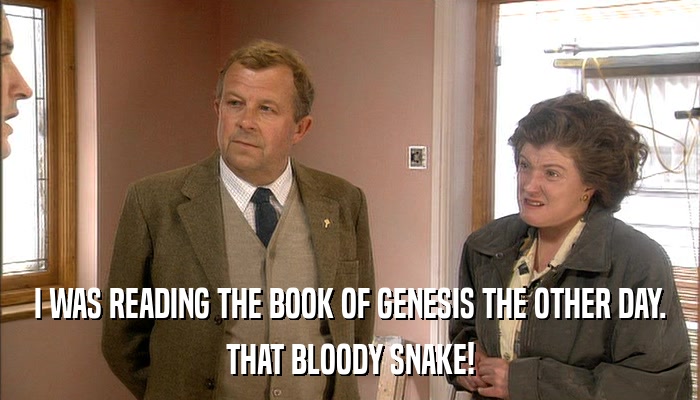 I WAS READING THE BOOK OF GENESIS THE OTHER DAY. THAT BLOODY SNAKE! 
