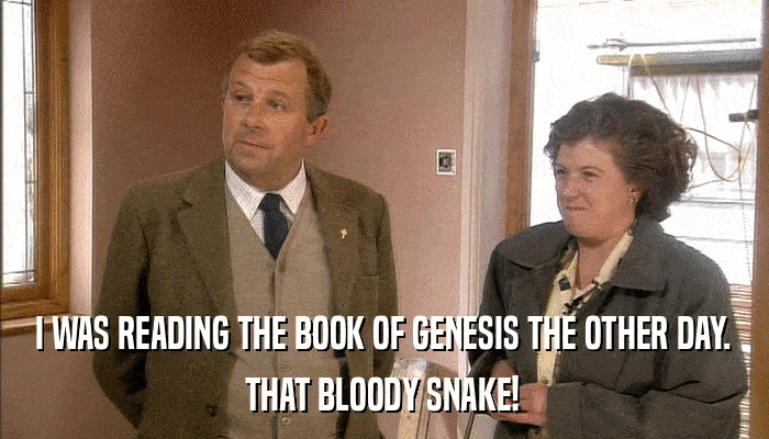 I WAS READING THE BOOK OF GENESIS THE OTHER DAY. THAT BLOODY SNAKE! 
