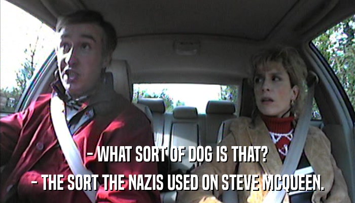 - WHAT SORT OF DOG IS THAT? - THE SORT THE NAZIS USED ON STEVE MCQUEEN. 