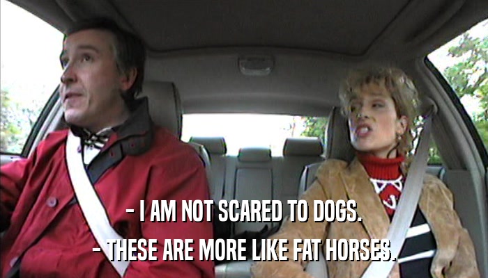 - I AM NOT SCARED TO DOGS. - THESE ARE MORE LIKE FAT HORSES. 