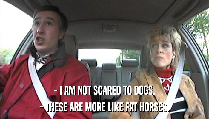 - I AM NOT SCARED TO DOGS. - THESE ARE MORE LIKE FAT HORSES. 