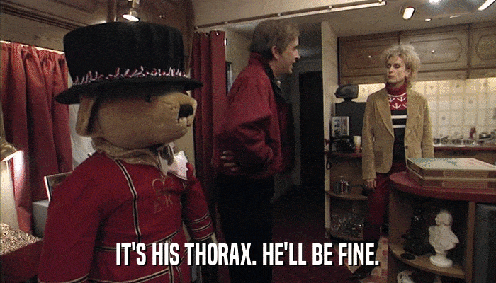 IT'S HIS THORAX. HE'LL BE FINE.  