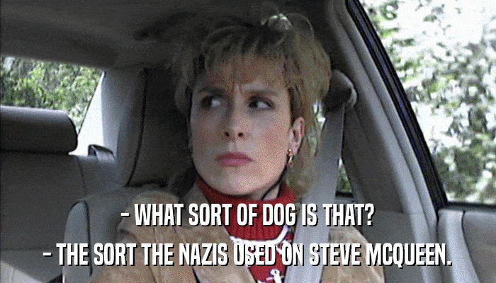 - WHAT SORT OF DOG IS THAT? - THE SORT THE NAZIS USED ON STEVE MCQUEEN. 