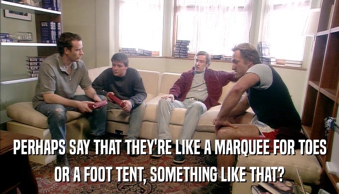 PERHAPS SAY THAT THEY'RE LIKE A MARQUEE FOR TOES OR A FOOT TENT, SOMETHING LIKE THAT? 