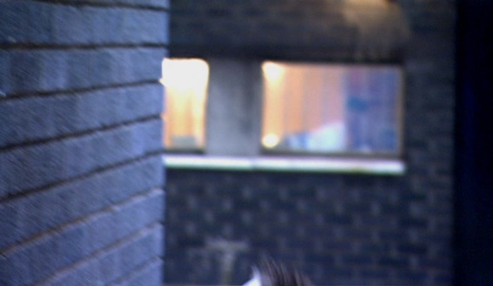 (MARK) 'COME ON, COME ON, PISS OFF. I WANT TO GO TO THE SHOP. 
