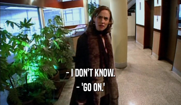 - I DON'T KNOW. - 'GO ON.' 