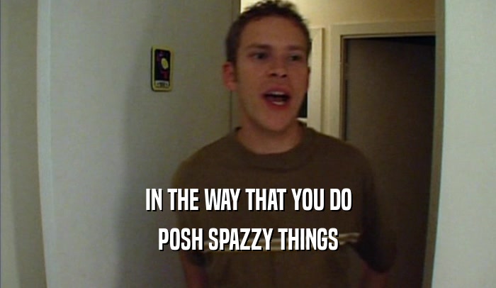 IN THE WAY THAT YOU DO
 POSH SPAZZY THINGS
 