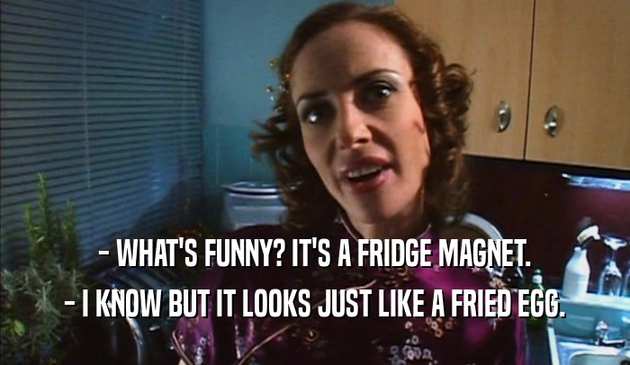 - WHAT'S FUNNY? IT'S A FRIDGE MAGNET.
 - I KNOW BUT IT LOOKS JUST LIKE A FRIED EGG.
 