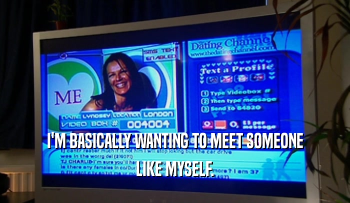 I'M BASICALLY WANTING TO MEET SOMEONE LIKE MYSELF. 