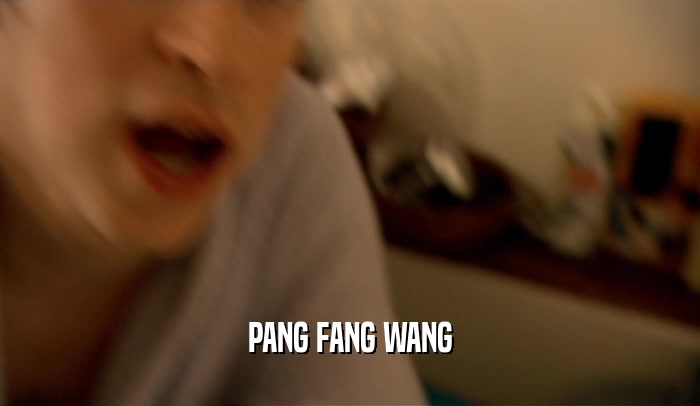 PANG FANG WANG  