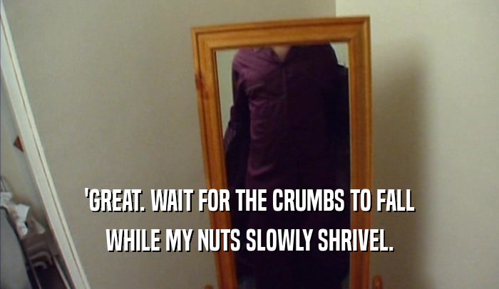'GREAT. WAIT FOR THE CRUMBS TO FALL
 WHILE MY NUTS SLOWLY SHRIVEL.
 