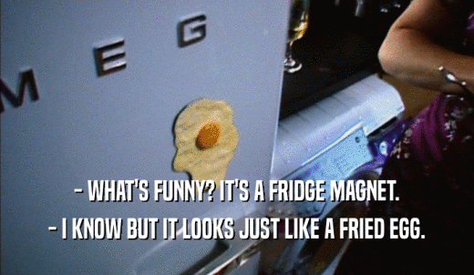 - WHAT'S FUNNY? IT'S A FRIDGE MAGNET. - I KNOW BUT IT LOOKS JUST LIKE A FRIED EGG. 