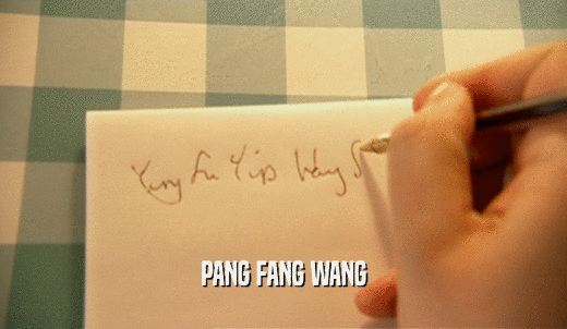 PANG FANG WANG  
